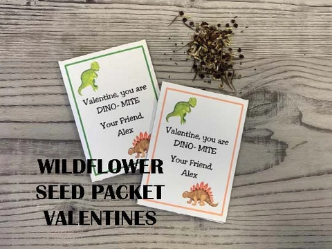 Dinosaur Valentine Cards for kids - Dinosaur seed packets
