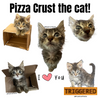 Pizza Crust The Cat Stickers
