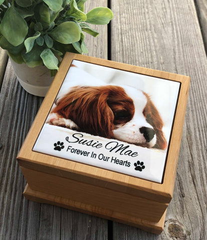 Custom Pet Urn, Pet Loss Gift