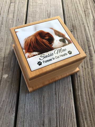 Custom Pet Urn, Pet Loss Gift