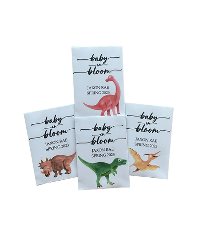 NEW Dinosaur Baby Shower Seed Packets