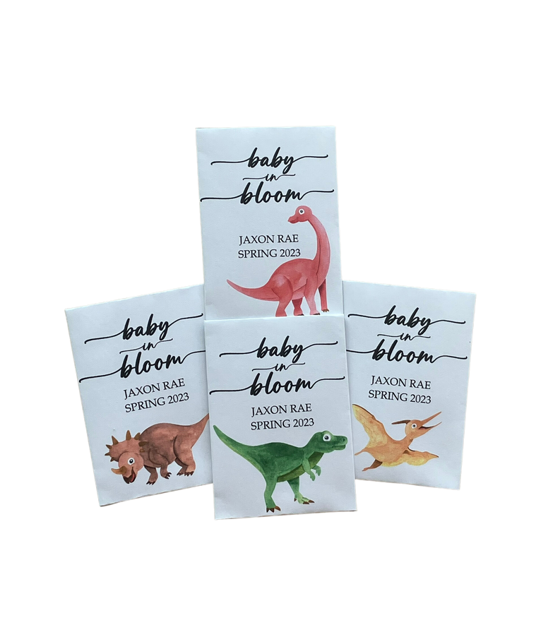 NEW Dinosaur Baby Shower Seed Packets
