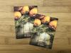 Fall Pumpkin Wood Seed Packets