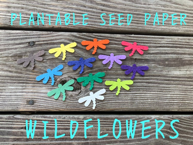 Plantable Paper Favors Dragonfly baby shower favors