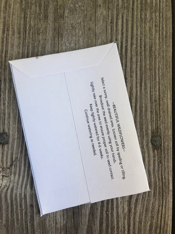 baby sunflower seed packets and ladybug shower favors