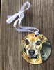 Pet portrait ornament, pet memorial, pet lovers, pet gifts, pet loss gifts, dog ornament, cat ornament - Favor Universe